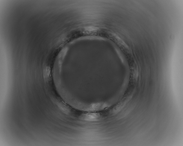 X0000111160711200907141401