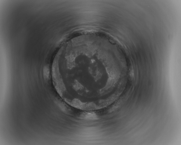 X0000111160715200907141401