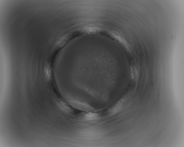 X0000111160718200907141401