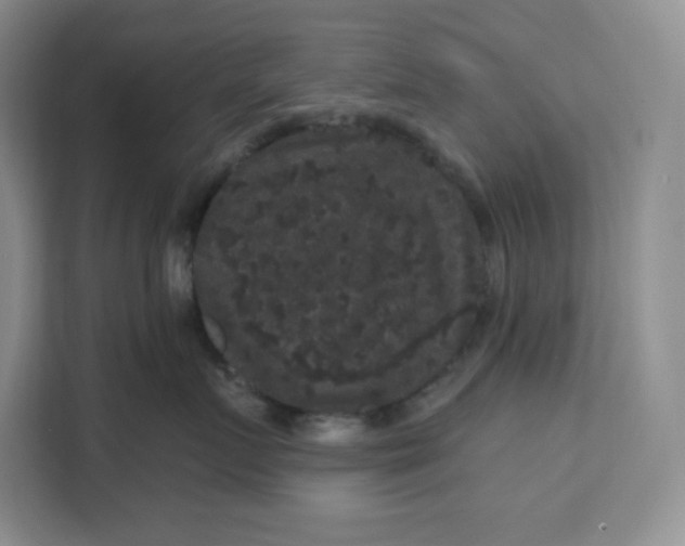 X0000111160719200907141401