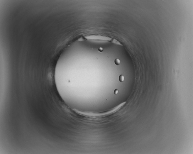 X0000111160720200907141401