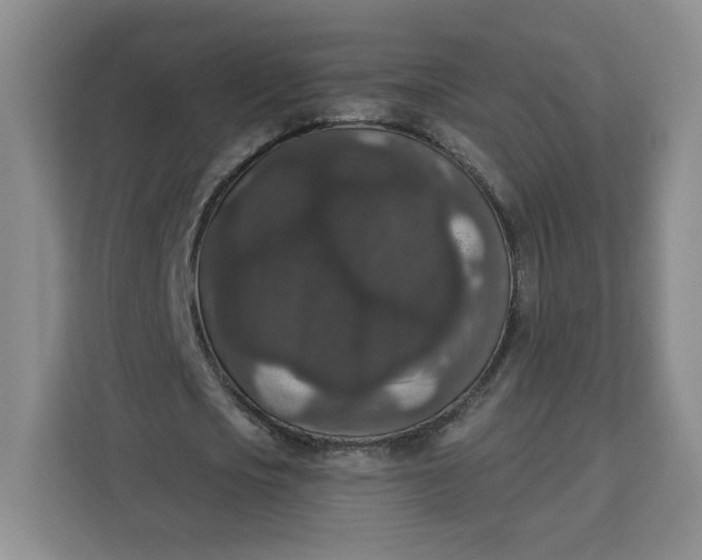 X0000111160721200907141401