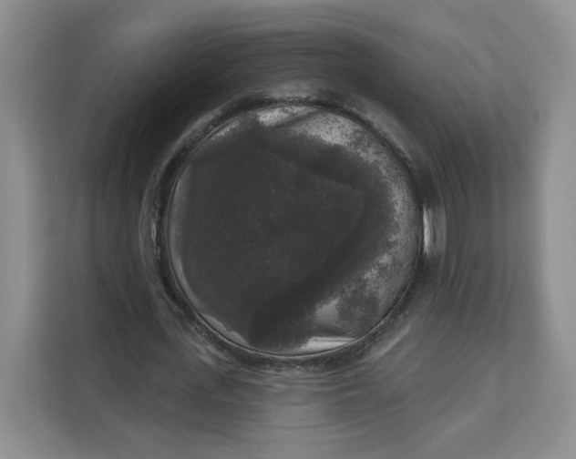 X0000111160723200907141401