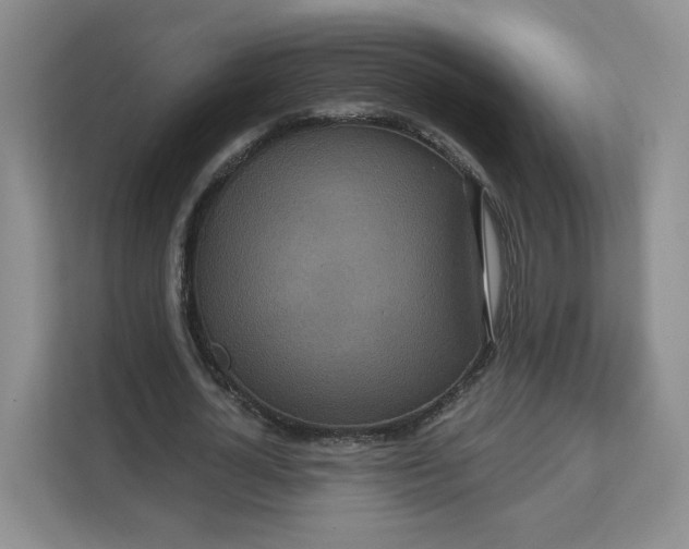 X0000111160724200907141401
