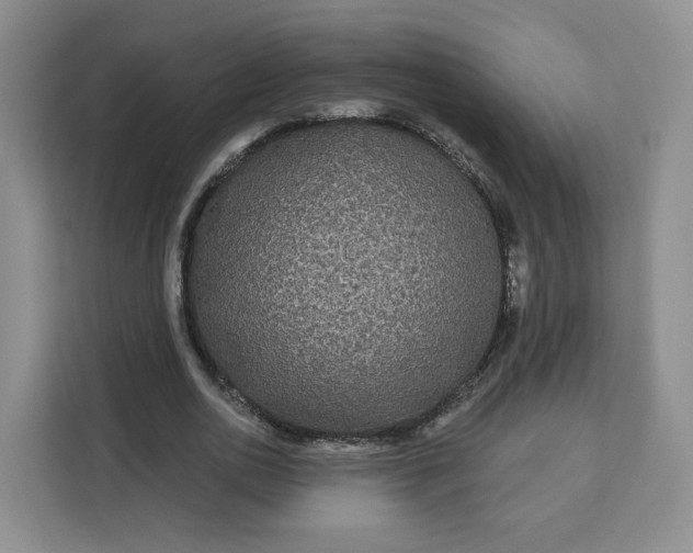 X0000111160726200907141401