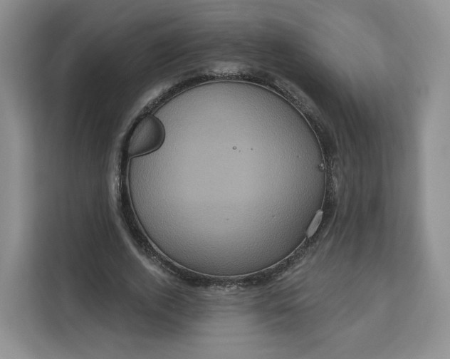 X0000111160728200907141401