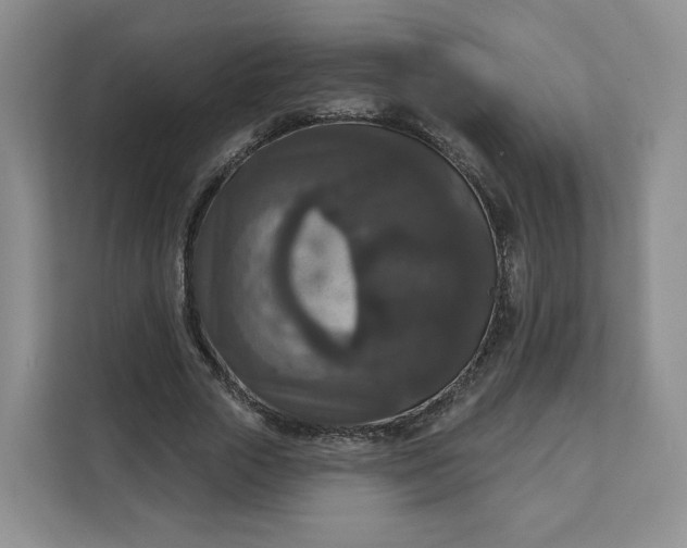 X0000111160729200907141401
