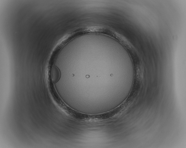 X0000111160730200907141401