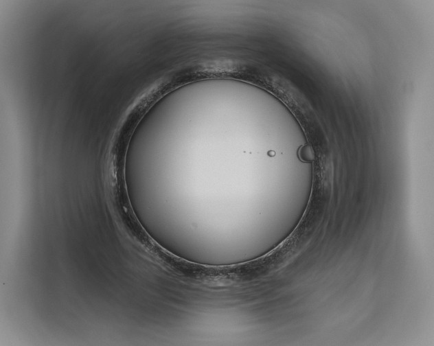 X0000111160731200907141401