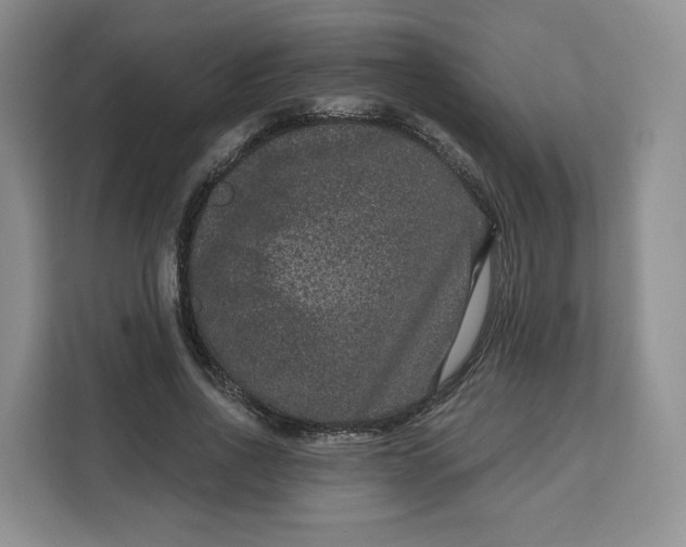X0000111160734200907141401