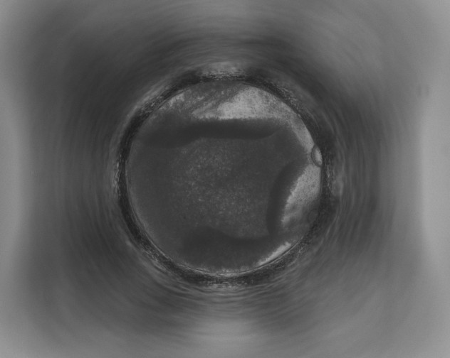 X0000111160735200907141401