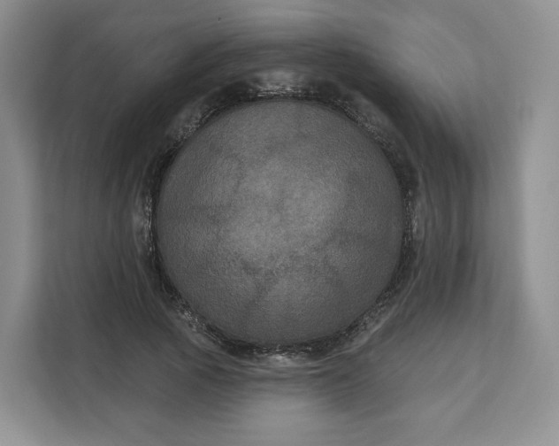 X0000111160737200907141401