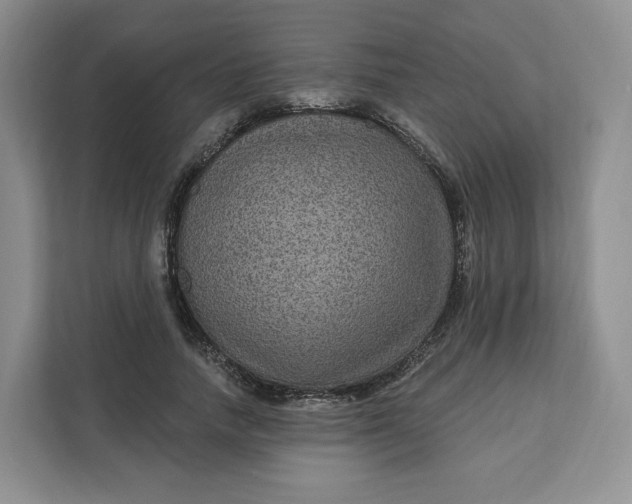 X0000111160738200907141401