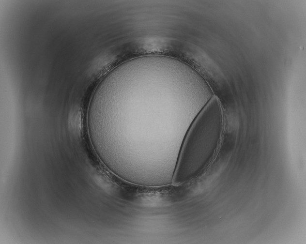X0000111160740200907141401