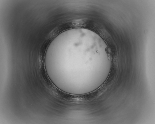 X0000111160741200907141401