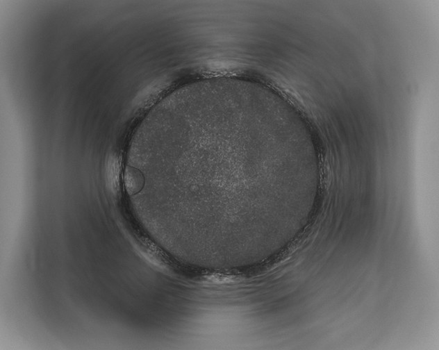 X0000111160742200907141401