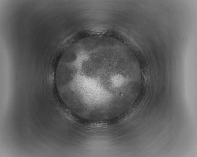 X0000111160745200907141401