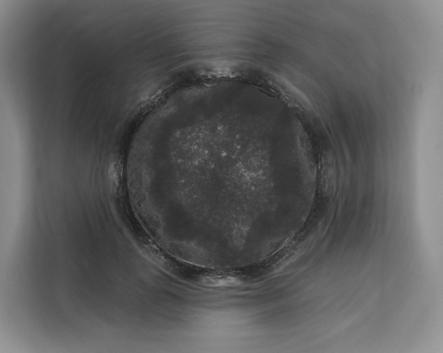 X0000111160747200907141401