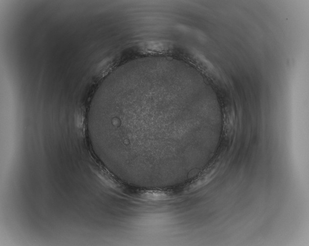 X0000111160749200907141401