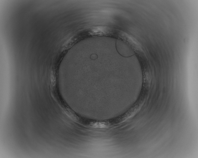 X0000111160751200907141401
