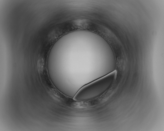 X0000111160752200907141401