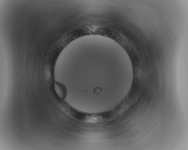 X0000111160754200907141401
