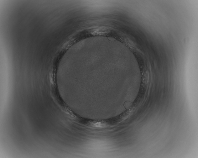 X0000111160755200907141401