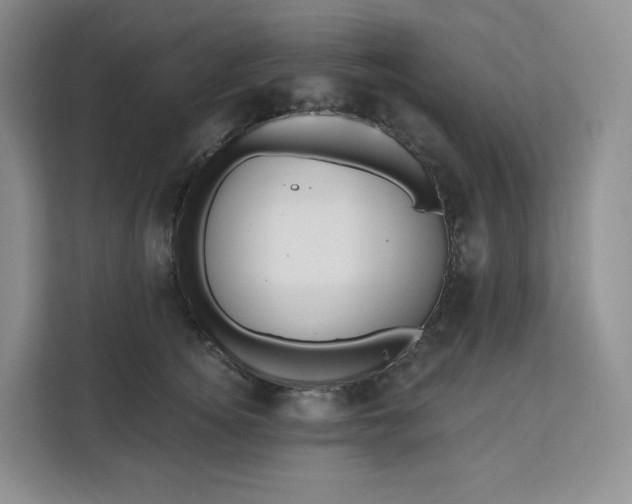 X0000111160756200907141401