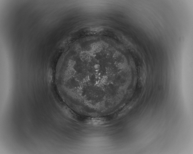 X0000111160758200907141401
