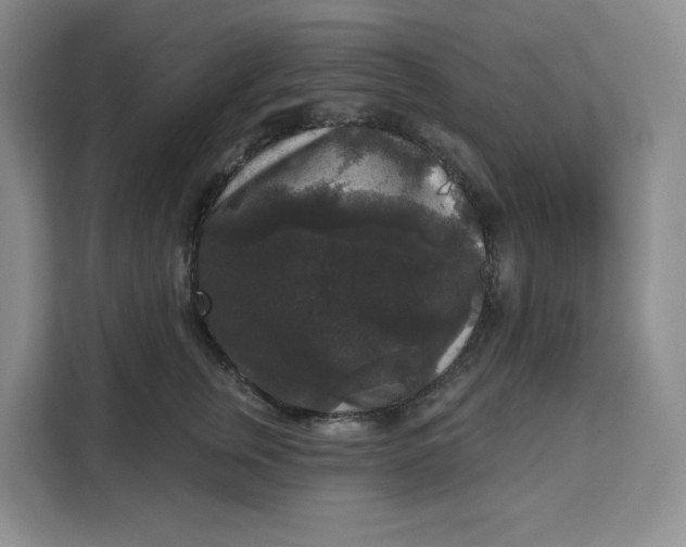 X0000111160759200907141401