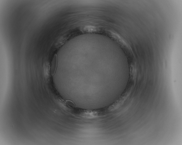 X0000111160760200907141401