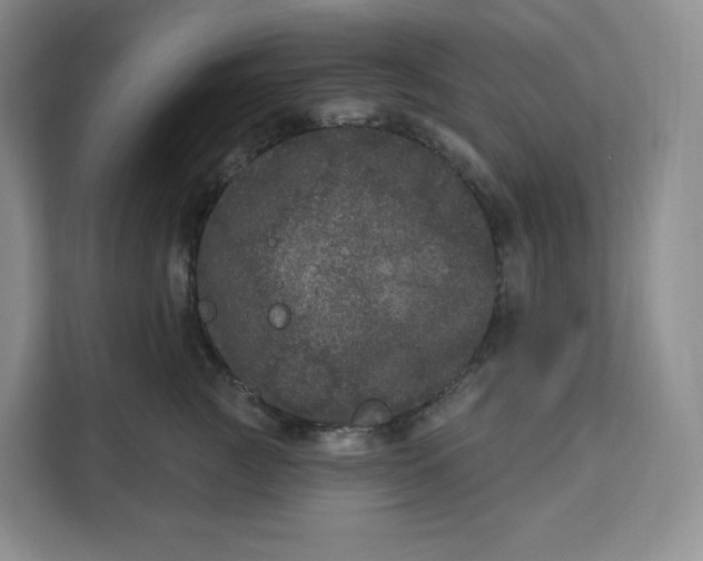 X0000111160761200907141401