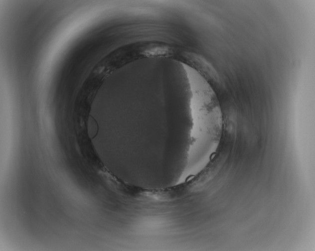 X0000111160763200907141401