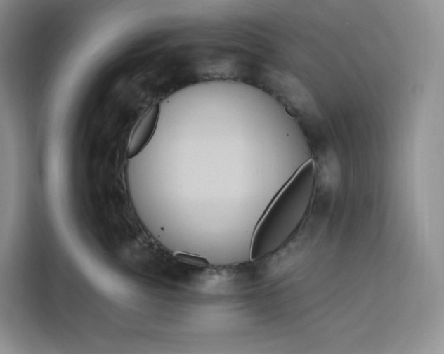 X0000111160764200907141401