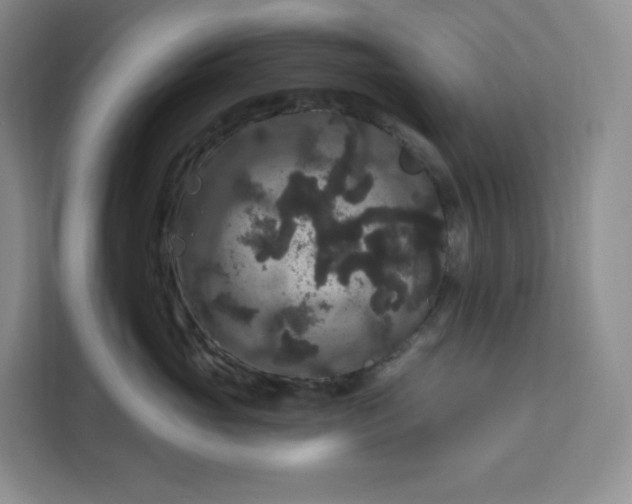 X0000111160765200907141401