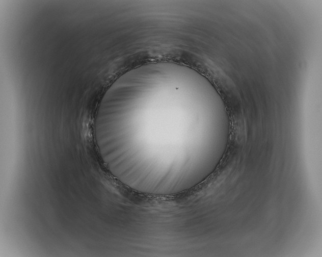 X0000111160770200907141401