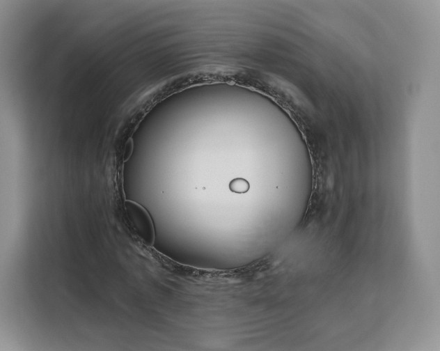 X0000111160773200907141401