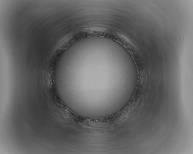 X0000111160774200907141401