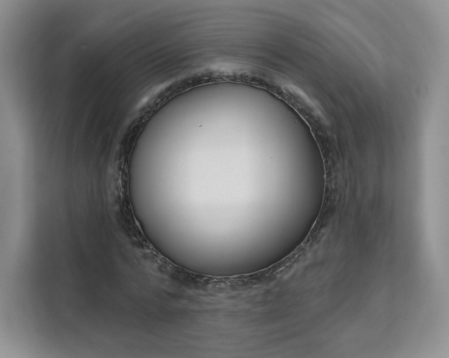 X0000111160776200907141401
