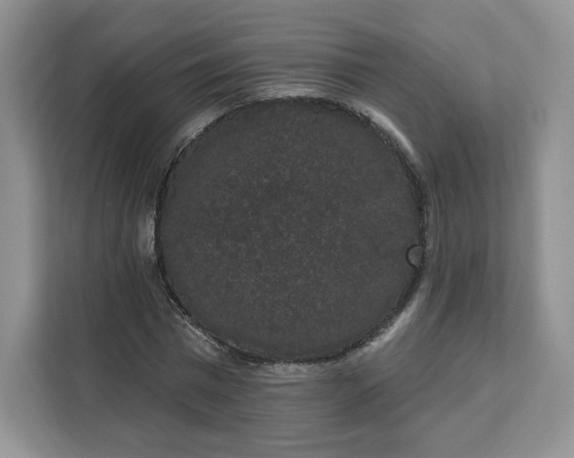 X0000111160777200907141400