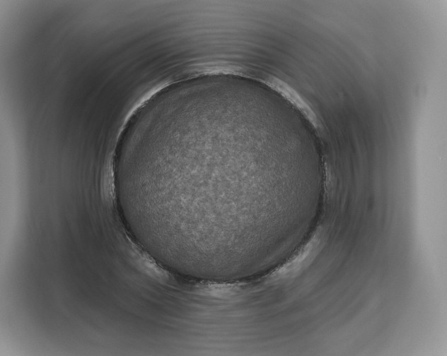 X0000111160782200907141400
