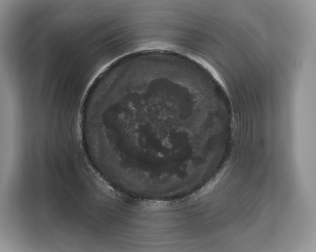 X0000111160783200907141400