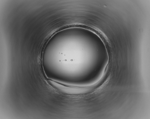 X0000111160785200907141400