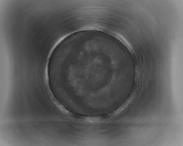 X0000111160788200907141400