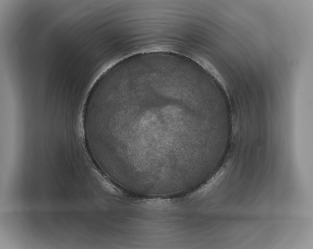 X0000111160789200907141400