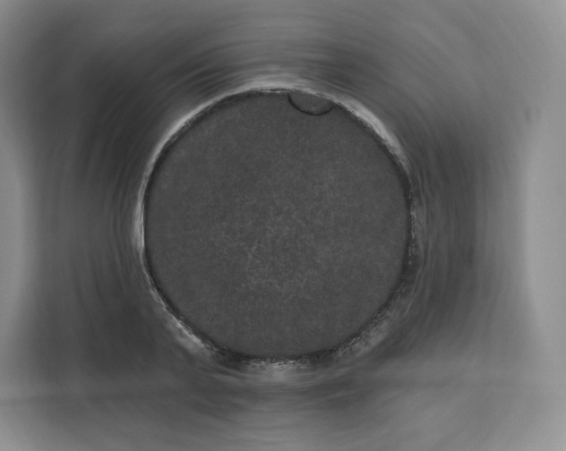 X0000111160791200907141400