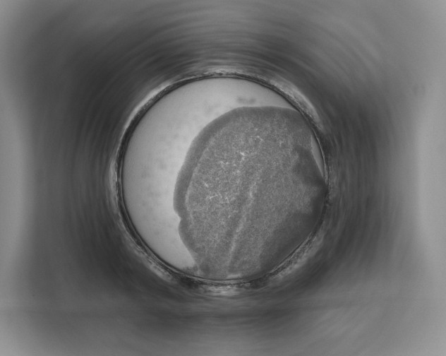 X0000111160798200907141400