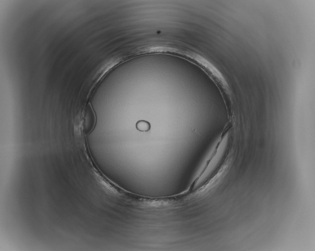 X0000111160801200907141400