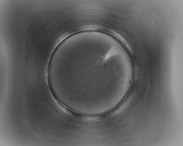X0000111160802200907141400