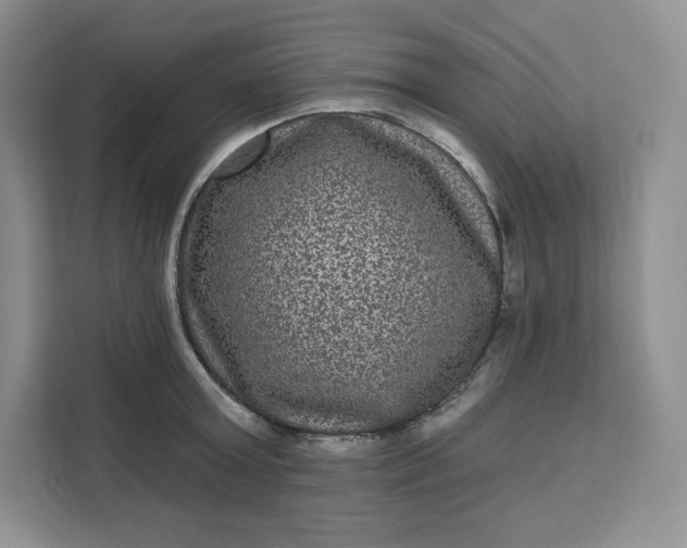 X0000111160803200907141400